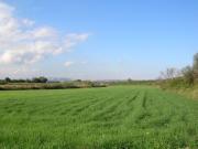 terreno e fabbricati, Siracusa SS 115 presso traverse S....