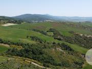Terreno e Unesco · Pnz131 m² Pienza