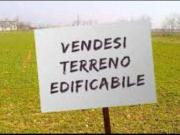 Terreno edif. residenziale in vendita a Renella...