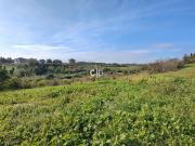 Terreno edificabile commerciale in vendita a Roma