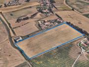Terreno edificabile commerciale in vendita a Roma
