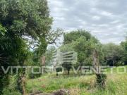 Terreno edificabile con progetto approvato a San Martino...