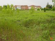 Terreno Edificabile da ristrutturare in strada acqui...