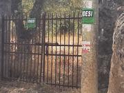 TERRENO EDIFICABILE E CON OLIVETO