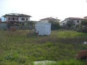 Terreno edificabile in affitto a Camaiore