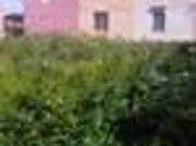 Terreno edificabile in affitto a Marsala