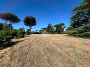 Terreno edificabile in affitto a Roma