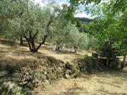 Terreno edificabile in vendita a Ascoli Piceno
