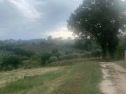 Rustico in vendita a Bevagna
