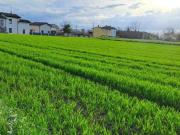 Terreno edificabile in vendita a Borgonovo Val Tidone