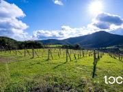 Terreno edificabile in vendita a Budoni