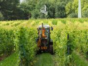 Terreno edificabile in vendita a Caldaro Strada Del Vino