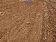 Terreno Edificabile in vendita a Caltagirone