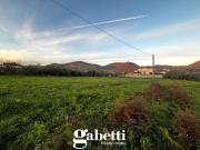 Terreno edificabile in vendita a Calvi Risorta