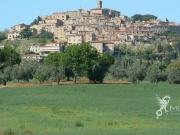 Terreno edificabile in vendita a Casale Marittimo