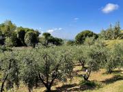 Terreno edificabile in vendita a Casale Marittimo