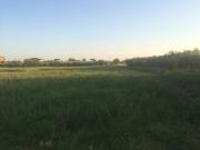 Terreno edificabile in vendita a Cascina