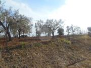 Terreno edificabile in vendita a Castelvetrano