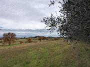 Terreno edificabile in vendita a Castiglione Del Lago