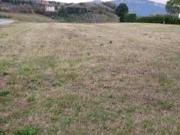 Terreno edificabile in vendita a Castorano, Palazzi