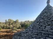 Terreno edificabile in vendita a Ceglie Messapica