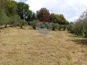 Terreno edificabile in vendita a Citerna
