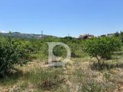 Terreno edificabile in vendita a Collecorvino, Barberi