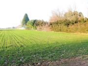 Terreno Edificabile in vendita a Cuggiono