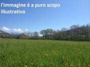 Terreno edificabile in vendita a Fano