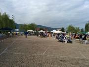 Terreno edificabile in vendita a Folignano, Piane di Morro