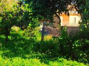 Terreno edificabile in vendita a Giarre