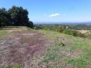 Terreno edificabile in vendita a Guardistallo