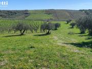 Terreno edificabile in vendita a Lanciano