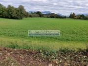 Terreno edificabile in Vendita a Manerba del Garda