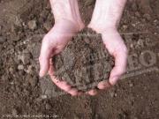 Terreno edificabile in vendita a Marsala