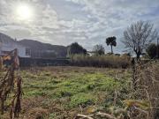 Terreno agricolo in vendita a Massa
