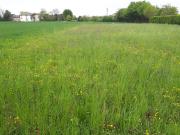 Terreno edificabile in vendita a Montebelluna, Guarda