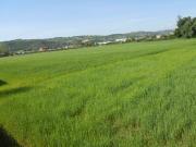 Terreno edificabile in vendita a Monteprandone, Centobuchi