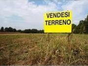 Terreno edificabile in vendita a Montignoso
