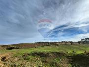 Terreno Edificabile in vendita a Motta Sant'Anastasia