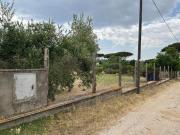 Terreno edificabile in vendita a Nettuno