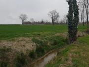 Terreno edificabile in vendita a Noale