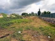Terreno agricolo in vendita a Noto