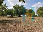 Terreno edificabile in vendita a Noto