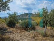 Terreno edificabile in vendita a Noto
