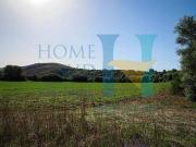 Terreno edificabile in vendita a Noto