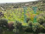 Terreno edificabile in vendita a Noto