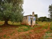 Terreno edificabile in vendita a Ostuni