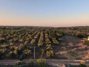 Terreno edificabile in vendita a Ostuni