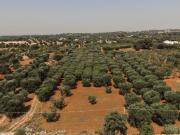 Terreno edificabile in vendita a Ostuni
